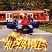 Alphamales (feat. 257ers) artwork