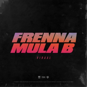 Viraal (feat. Mula B) - Single