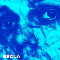 No Place — Biicla
