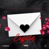 Icon Expose - Single