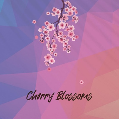 Cherry Blossoms