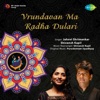 Vrundavan Ma Radha Dulari - Single