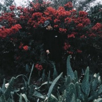 Treason - Single