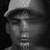 Warum by Pietro Lombardi iTunes Track 1