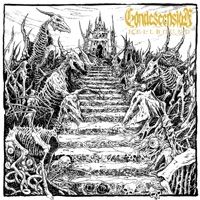 Condescension - Ghost of a Stranger (feat. Roman Lamcev)