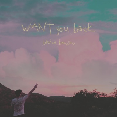 Want You Back - Single