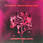 Joseph Black - Miss Me