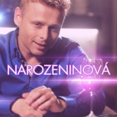 Narozeninová artwork