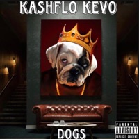 Dogs - Single - Kashflo Kevo