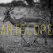 Antelope (Extended) - Kaysha, Boddhi Satva & H. Baraka lyrics