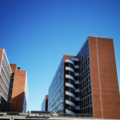 Morricone Composed Every Day (feat. Fidel Kato) - Single