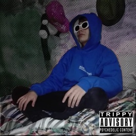 Existencialismo (feat. Noodle) Livefree