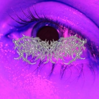 Falling From the Sky (feat. skigh9) - Single - Worldwide Princess, AVA AKIRA & phonewifey