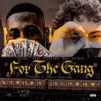 For the Gang (feat. Jstarr the Prince) - Single - Drino