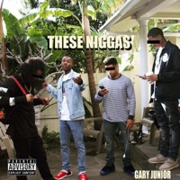 These N****s - Single - Gary Junior