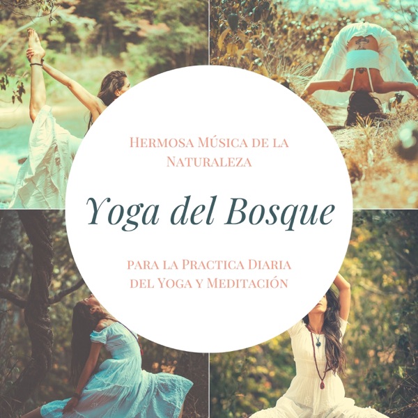 Yoga del Bosque - Hermosa Música de la Naturaleza para la Practica Diaria del Yoga y Meditación