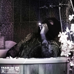 Train de vie