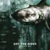 Dry the River - New Ceremony