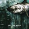 Hammer - Dry the River lyrics