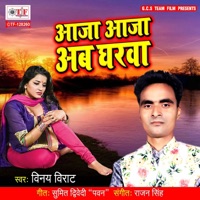 Aaja Aaja Ab Gharwa - Single - Vinay Virat