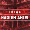 Nadiem Amiri - Shiwa lyrics