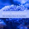 Trataka - Meditate on the Light - Dalai Guru lyrics