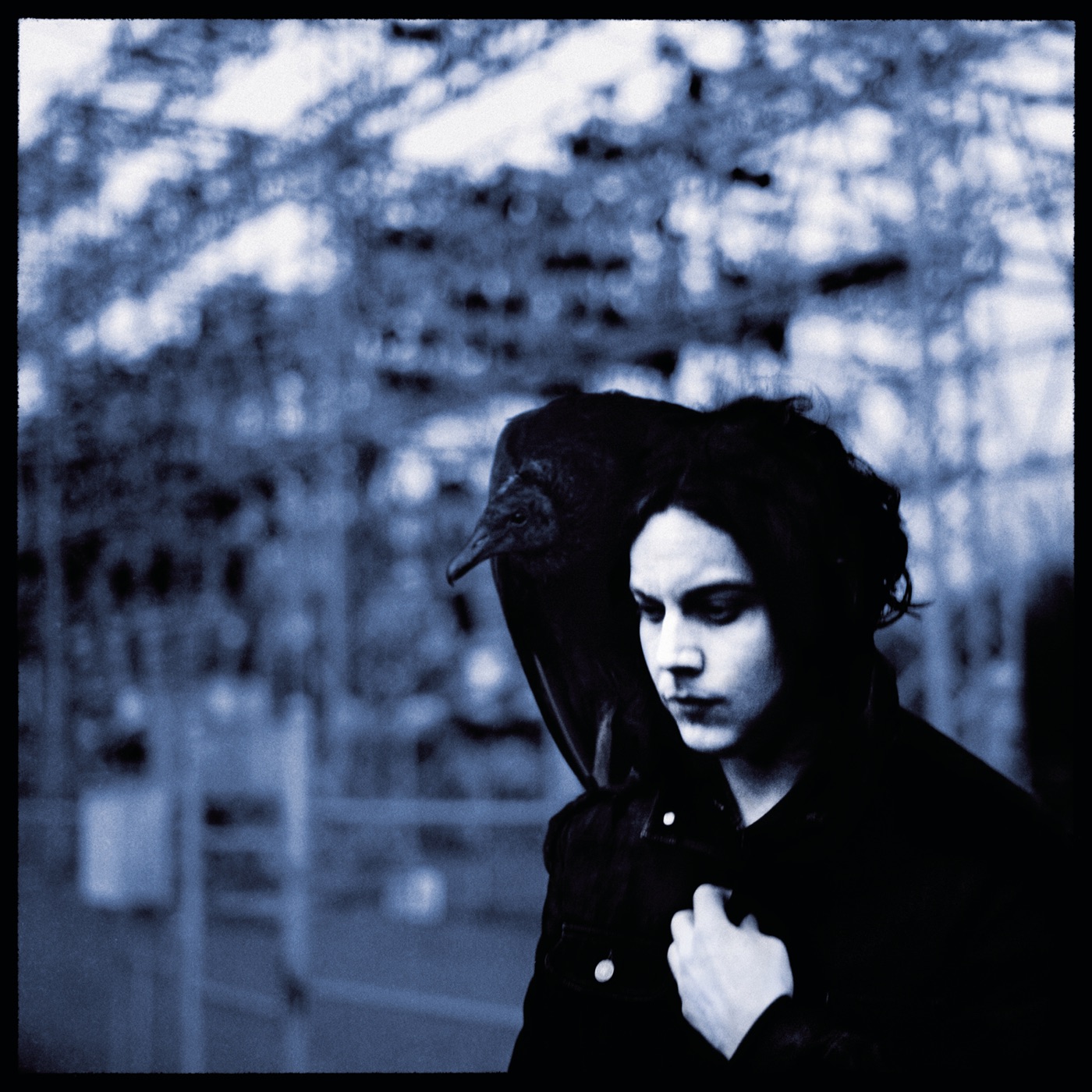 Blunderbuss by Jack White