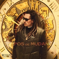 Tempos de Mudança - Single - New Hippie Official