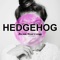Träumer (feat. Eric MC & Sändii) - Hedgehog lyrics