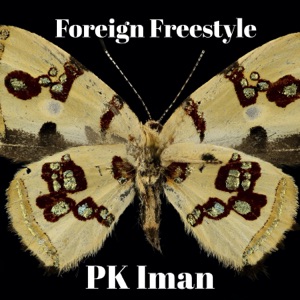 Foreign (Freestyle)