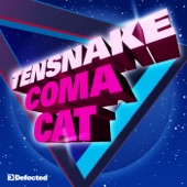 Coma Cat - EP artwork