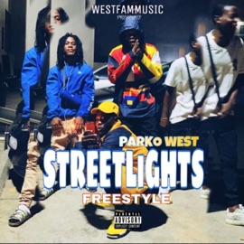 Streetlights Parko West