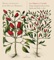 6 Ariette, Op. 95: No. 5, Ad altro laccio - Marta Almajano & José Miguel Moreno lyrics