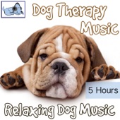 Dog Therapy Music - 5 Hours - Relaxing Dog Music artwork