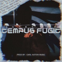 Tempus Fugit - Single - Skant Vee