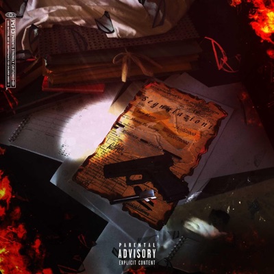 Segnalazioni - Single