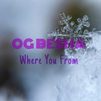 Where You From - Single - OG Besha