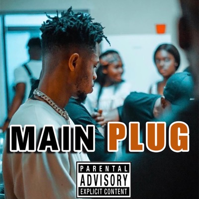 Main Plug - Single