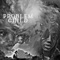 2021 Flow (Freestyle) - Stormii Blu lyrics