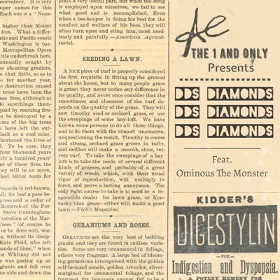 DDS Diamonds (feat. Ominous the Monster) - Single