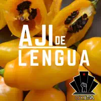 Ají de Lengua — Cooltiva