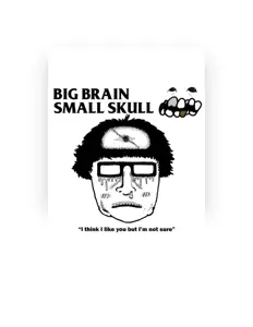 Listen to Big Brain, Small Skull, watch music videos, read bio, see tour dates & more!