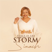 Peace in the Storm artwork