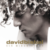 David Bisbal - Esclavo de Sus Besos ilustración