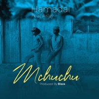 Mchuchu (feat. Aslay) - Single - Hamadai