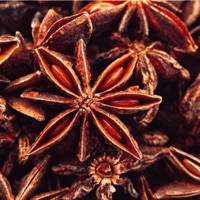 Star Anise - Single - Fona & Styn