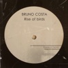 Bruno Costa