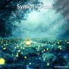 Synaptic Flow - EP