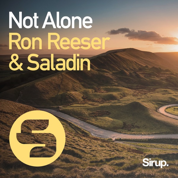Not Alone - Single