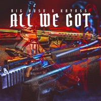 All We Got (feat. Kayoss) - Single
